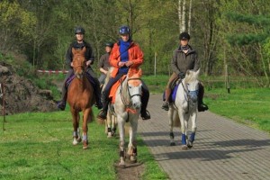 Gruppe beim Reiten
